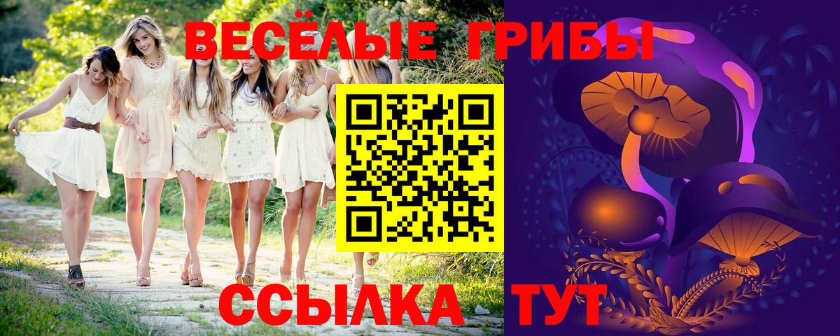 Галлюциногенные грибы ЛСД Шатура