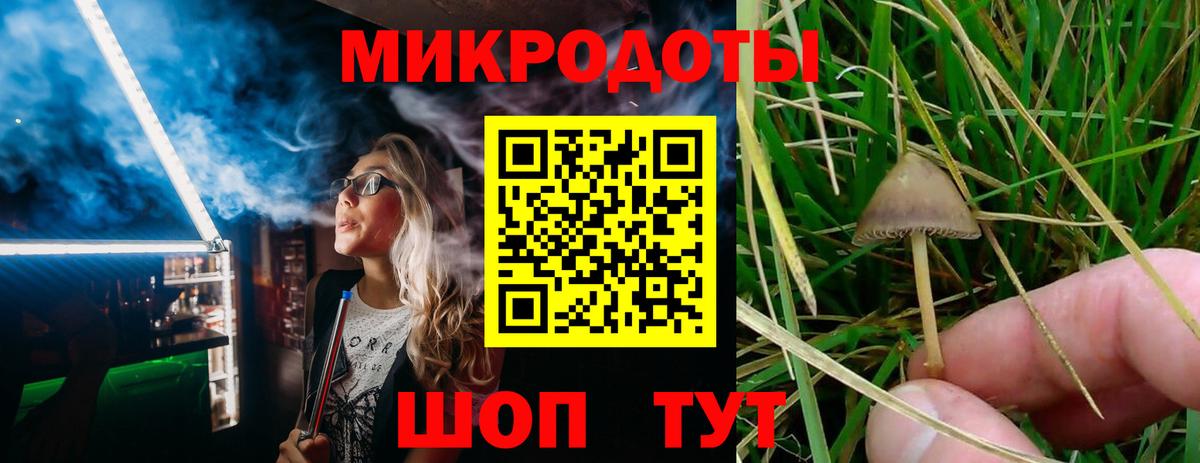 Галлюциногенные грибы Psilocybine cubensis  Вход с VPN  Шатура  Галлюциногенные грибы мицелий 