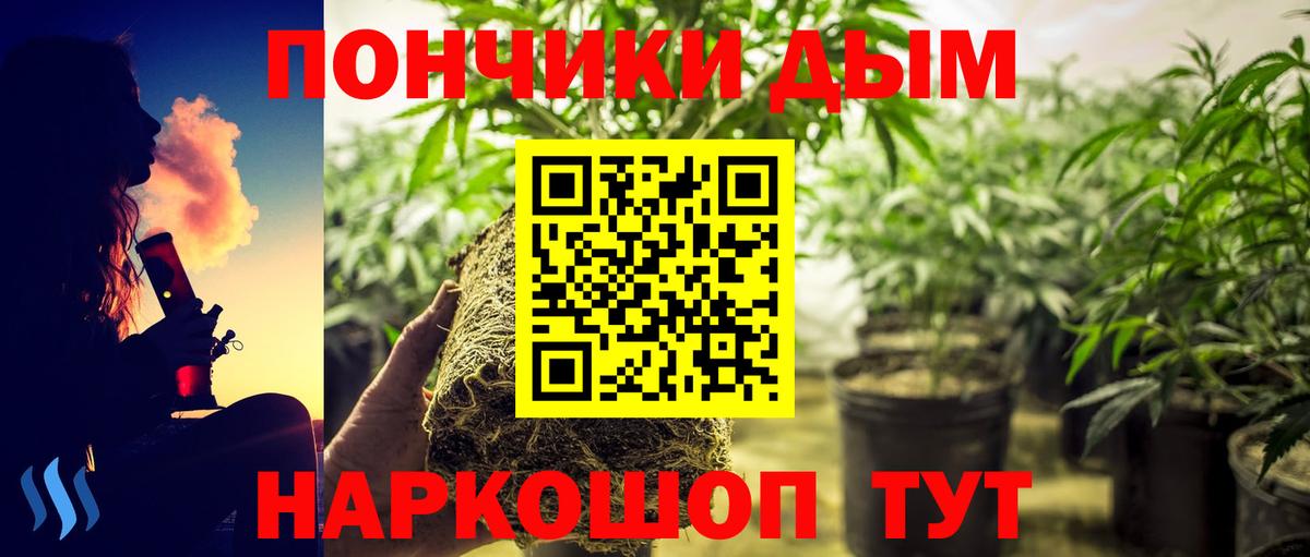 Конопля OG Kush Шатура